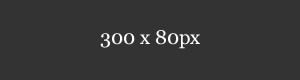 ip攻击器网页版ddos